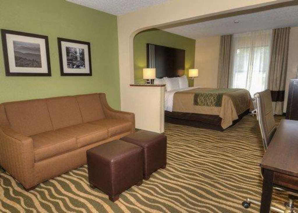 Comfort Inn Near Downtown & Blue Ridge Pkwy Marion Room photo